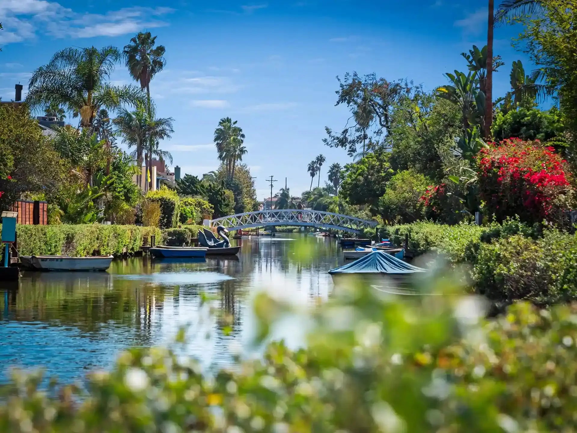 Venice Vista - Luxury Villa for Rent | LA - 2025✨ Vidi Vici Rental